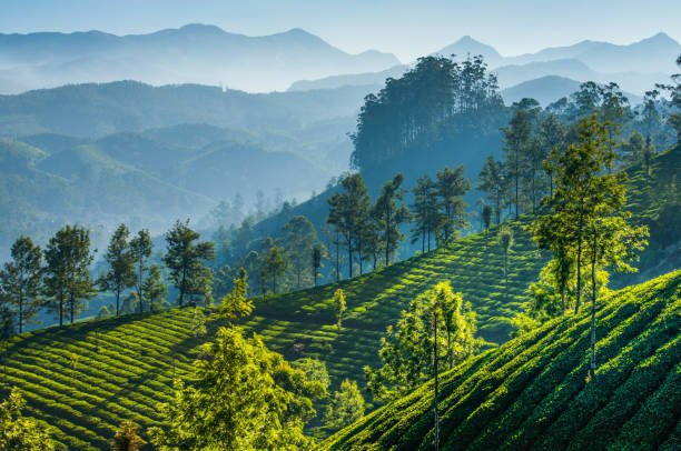 BEST PLACE IN DARJEELING IN 2024